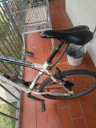 Bicicleta de montaña