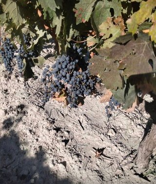 Terreno en venta en Peñafiel