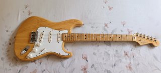 Fender Stratocaster American Professional CAMBIOS