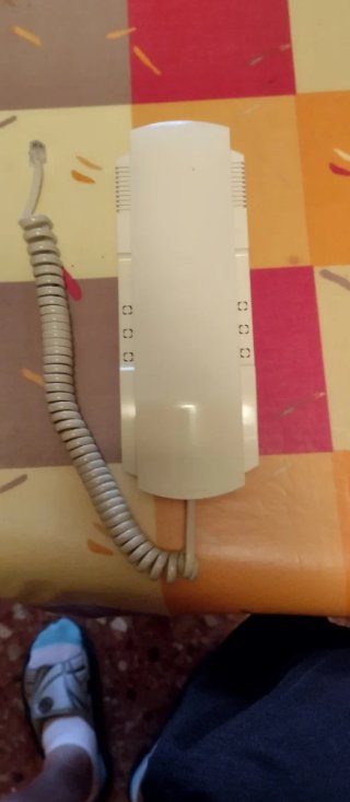 Telefonillo Portero Automático Fermax