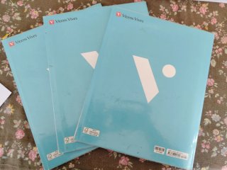 Matemáticas 2, Educación Primaria, Comunidad Zoom
