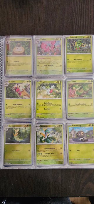 Colección de Cartas Pokémon en Álbum.
