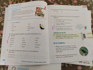 Lengua Castellana y Literatura 2, Educación Pri...