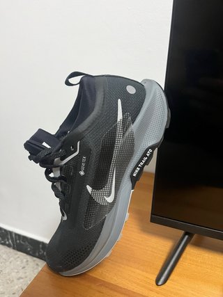 Nike Pegasus Trail 5 GORE-TEX