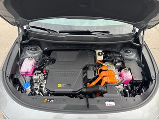 KIA Niro 1.6 GDi HEV Concept