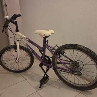Bicicleta Infantil Boomerang Open 20