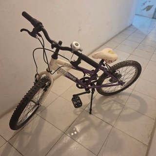 Bicicleta Infantil Boomerang Open 20