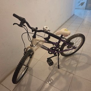 Bicicleta Infantil Boomerang Open 20