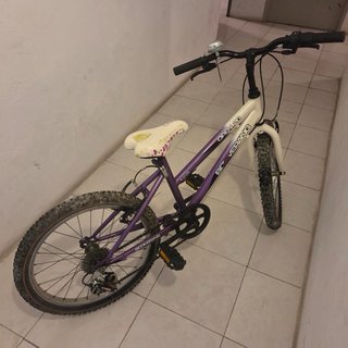 Bicicleta Infantil Boomerang Open 20