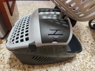 Transportín para gato