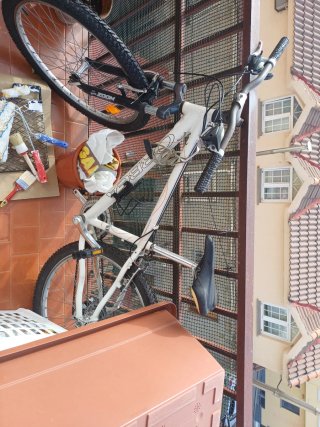 Bicicleta de Montaña Orbea Blanca