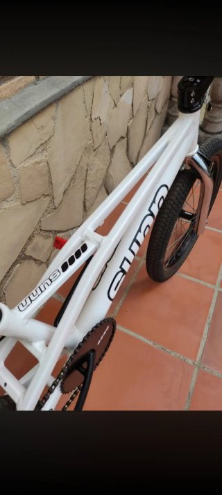 BMX Sunn