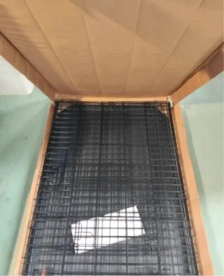 Feandrea - Jaula para perro plegable XXL