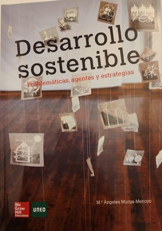 Desarrollo sostenible: problemáticas, agentes y...