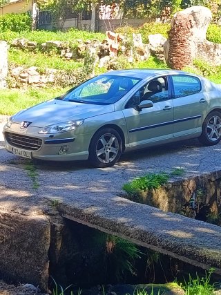Peugeot 407 2006