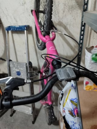 Bicicleta de Montaña Orbea Rosa