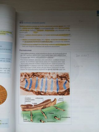 Biologia, zientziak, Batxilergoa 2