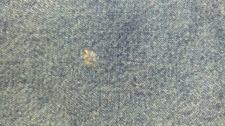 Peto Vaquero Carhartt Azul