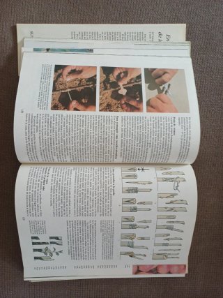 Enciclopedia de la jardinería