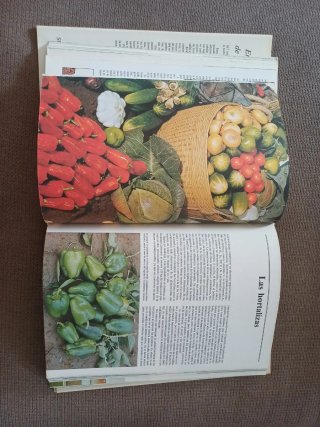 Enciclopedia de la jardinería