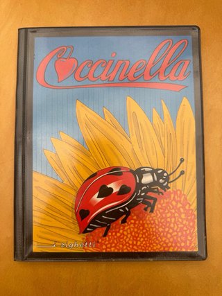 Lote de 2 Álbumes de Fotos Coccinella