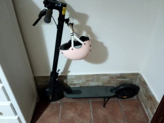 Patinete Eléctrico Xiaomi
