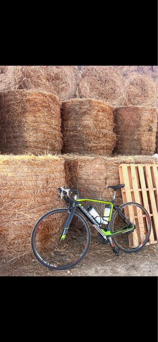Bicicleta Orbea Orca Carbono