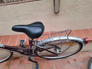 Bicicleta de paseo