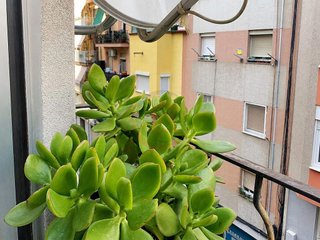 Piso en venta en La Torrassa en Hospitalet de Llobregat, L´