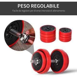 Set 2 in 1 Bilanciere e Manubri Pesi da 20kg, Disc