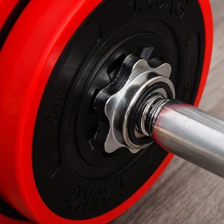 Set 2 in 1 Bilanciere e Manubri Pesi da 20kg, Disc