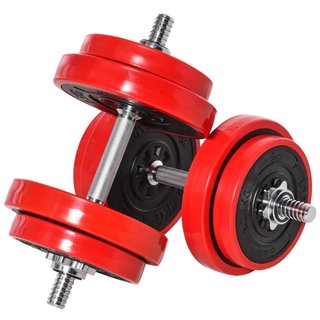 Set 2 in 1 Bilanciere e Manubri Pesi da 20kg, Disc