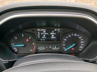 FORD FOCUS 1.5 Ecoblue 120CV 5 Puertas