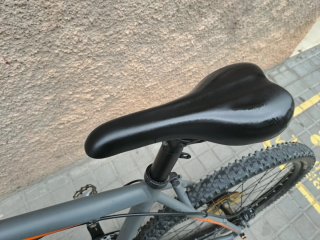 Bicicleta MTB Focus whinstler Talla L