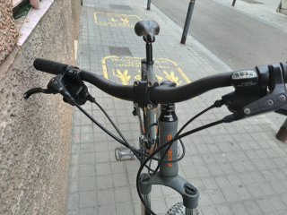 Bicicleta MTB Focus whinstler Talla L
