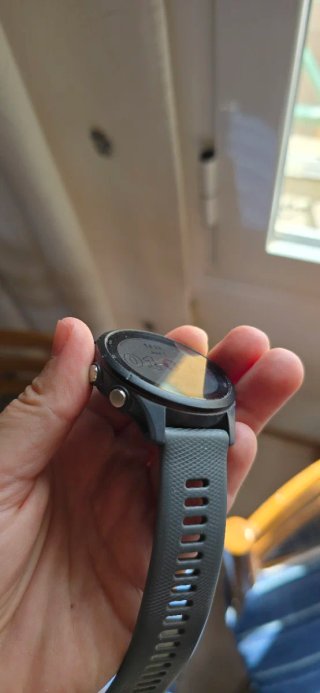 Garmin Forerunner 255 Gris