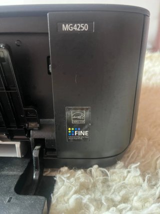 Stampante multifunzione Canon Pixma MG4250