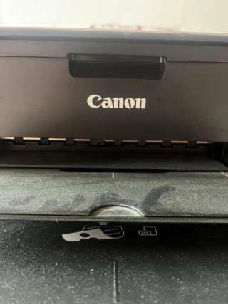 Stampante multifunzione Canon Pixma MG4250