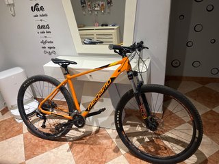 Bicicleta Megamo Naranja