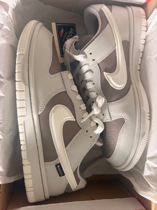 Nike Dunk Low GTX Beige/Marrón 39