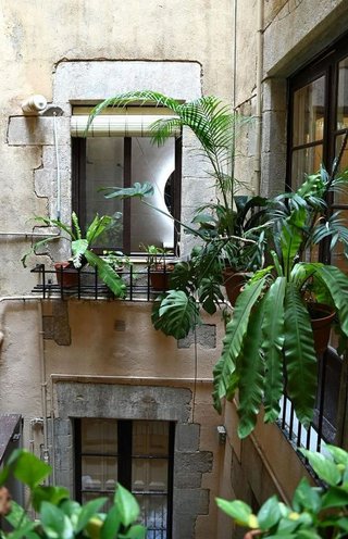 Piso en venta en El Gòtic en Barcelona