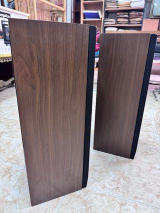 Pareja de Altavoces AKAI SR-SF5
