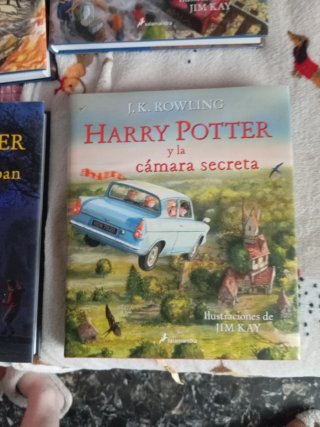 Harry potter ilustrado