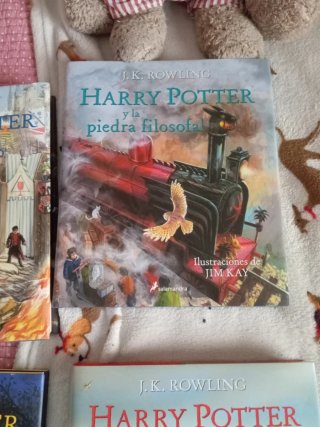 Harry potter ilustrado