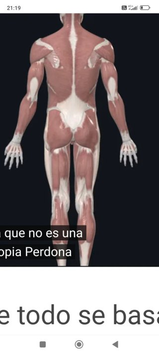 Culturismo entrenador alimentación