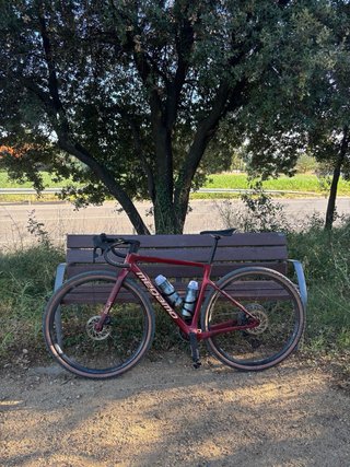 Megamo Silk 04 Carbon SRAM AXS T-Type 2025