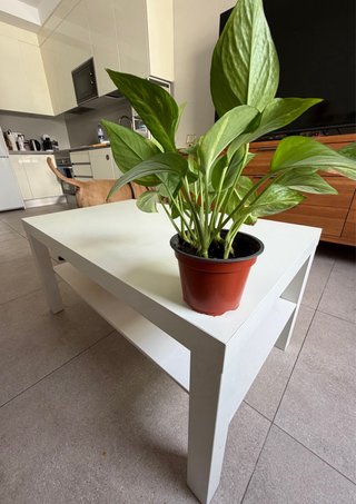 Sofá Cama Gris tela y mesa blanca Ikea de regalo