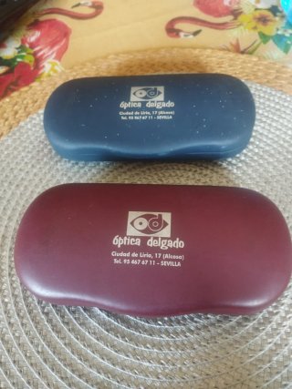 Fundas para gafas Óptica Delgado (2 unidades)
