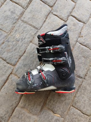 Lote de Botas de Esquí