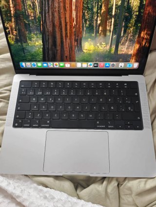 MacBook Pro 14 M4 16GB 512GB Plata (2024)